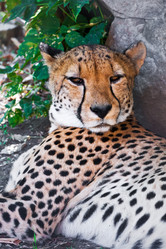 Similar image 5633103