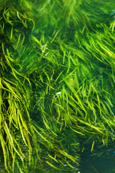 Similar image 5633220