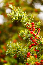 Similar image 5633221