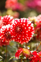 Similar image 5633222