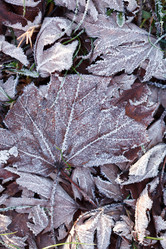 Similar image 5633235