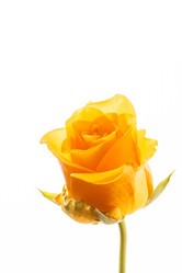 Similar image 5633238