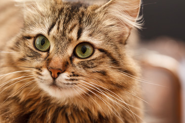 Similar image 5633244