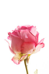 Similar image 5633312