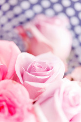 Similar image 5633313