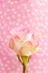 Similar image 5633314