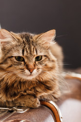 Similar image 5633342