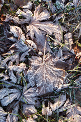 Similar image 5633483