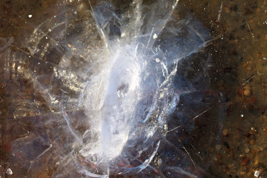 Similar image 5633484