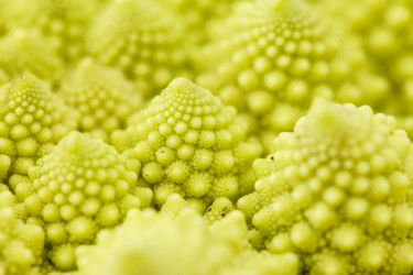 Similar image 5633515