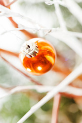 Similar image 5633544