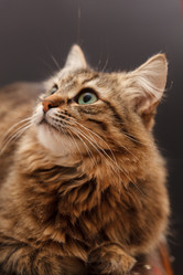 Similar image 5633553