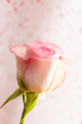 Similar image 5633557