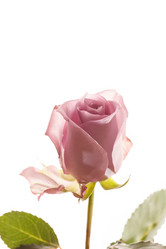 Similar image 5633561