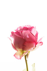 Similar image 5633562