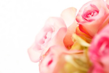 Similar image 5633564