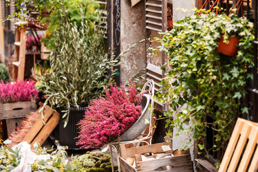 Similar image 5633603