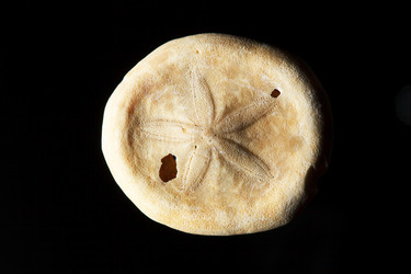 Similar image 5633605