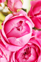 Similar image 5633609