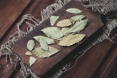 Similar image 5633625