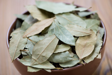 Similar image 5633639