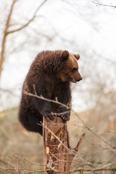 Similar image 5633673