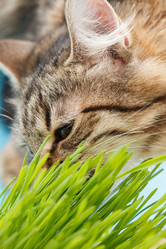 Similar image 5633674