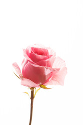 Similar image 5633683