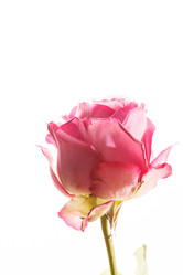 Similar image 5633684