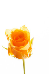 Similar image 5633686