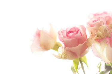 Similar image 5633687