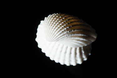 Similar image 5633691