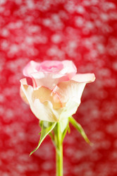 Similar image 5633710