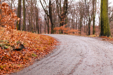 Similar image 5633755