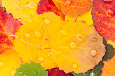 Similar image 5633768