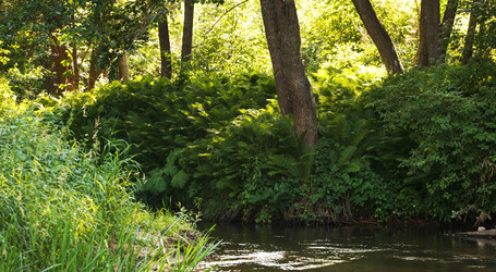 Similar image 5633771