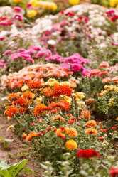 Similar image 5633772