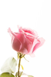 Similar image 5633780