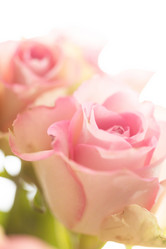 Similar image 5633784