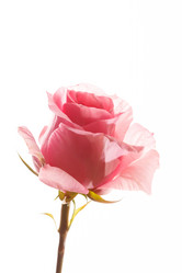 Similar image 5633788