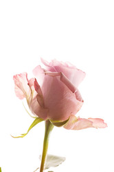 Similar image 5633789