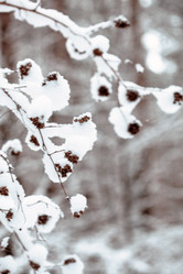 Similar image 5633795