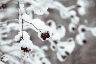 Similar image 5633796