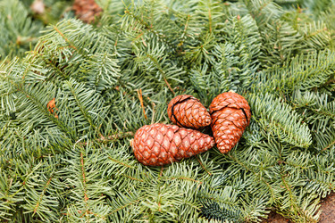 Similar image 5633800