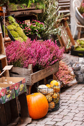 Similar image 5633814