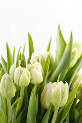 Similar image 5633849