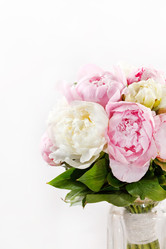 Similar image 5633854