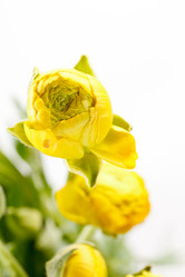 Similar image 5633857