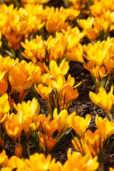 Similar image 5633862