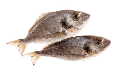 Similar image 5633873